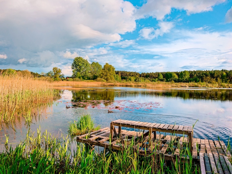 Wynajem domku nad jeziorem. Twój przewodnik po rezerwacjach domków nad jeziorem