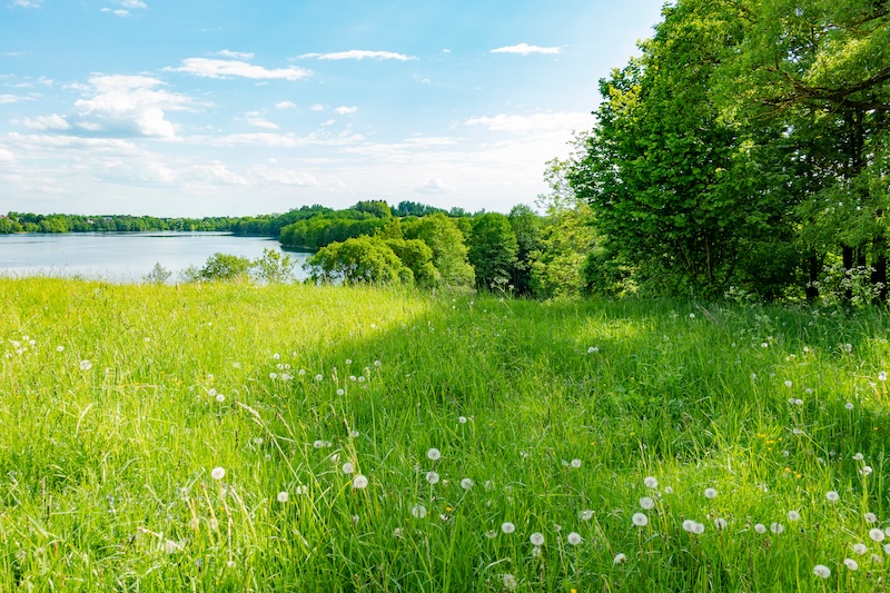 Nocleg w Ślesinie - najlepsze propozycje