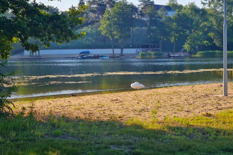 plaża nad jeziorem w Wielkopolsce - Ślesin